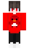 danicraft minecraft skin