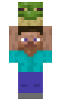 Laytonizer119 minecraft skin