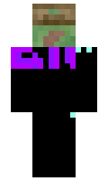 Na4 minecraft skin