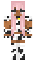 8e22564a27bfee minecraft skin