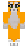 thinknoodles202 minecraft skin