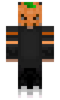 PunctualShark minecraft skin