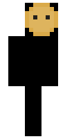 locos minecraft skin