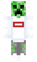 abdevilliers201 minecraft skin