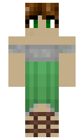 8e8f9121831580 minecraft skin