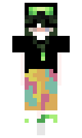 Apostille minecraft skin
