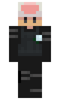 8ebba7cd95d9df minecraft skin