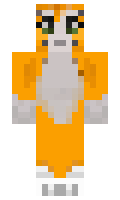 hoh2 minecraft skin