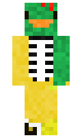 8ece1fe38a6bc5 minecraft skin