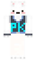baroPK minecraft skin