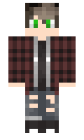 8edfc997a2ff23 minecraft skin