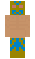 HUBER minecraft skin