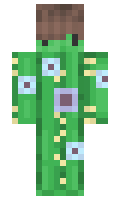 8f18249593c9a4 minecraft skin