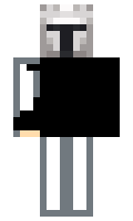 v12x minecraft skin