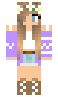 CCT minecraft skin