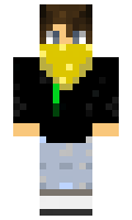 wsla minecraft skin