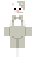 DottieOkay minecraft skin