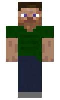 epic4real minecraft skin