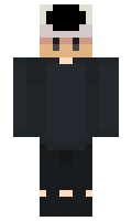 Amerika minecraft skin