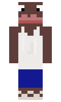 8f79c5ee7537f6 minecraft skin