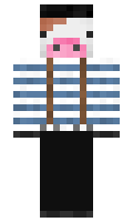 8f833428ccfef5 minecraft skin