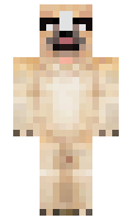 8f8d1f0cafd204 minecraft skin