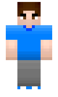 8f8e945489f199 minecraft skin