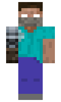 8fdc0bad247558 minecraft skin