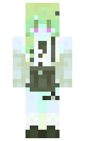 Csaa minecraft skin