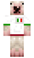8ff8c19f4ff04e minecraft skin