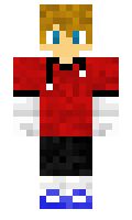 EJW05 minecraft skin