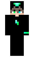 txbbs minecraft skin