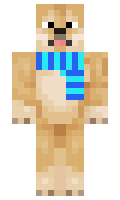 ZivEr4437 minecraft skin