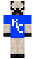 dodgingjets minecraft skin