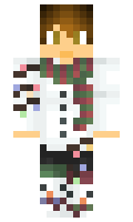 905265d1217427 minecraft skin