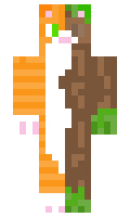 JaklyKat minecraft skin