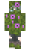 909e4f1b31a8be minecraft skin