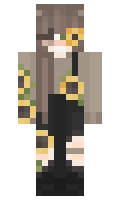 PapaBares minecraft skin