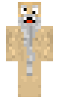 gewa minecraft skin