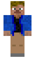 9100304dc52f53 minecraft skin