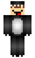 Peins minecraft skin