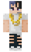 911aa9d6b916b9 minecraft skin