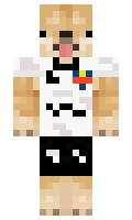 Memoxidox minecraft skin
