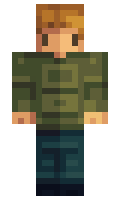 Player913380527 minecraft skin