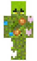 Geympadek minecraft skin