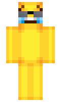 mcpettersson minecraft skin