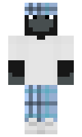 DuckExploit minecraft skin