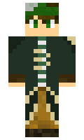 91c475b5e35401 minecraft skin