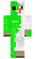 91cd6e3821e109 minecraft skin