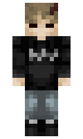 hausemaster86 minecraft skin